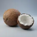 die Kokosnuss — de kokosnoot