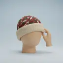 beanie — de muts