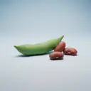 pasulj — de boon