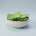 la lechuga — 상추