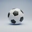 piłka nożna — het voetbal