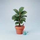 растение — 식물
