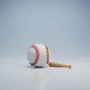 baseball — het honkbal