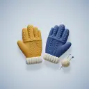 gloves — de handschoenen