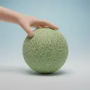 die Melone — de meloen
