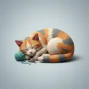 kot — de kat
