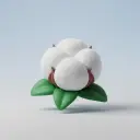 قُطْن — 목화